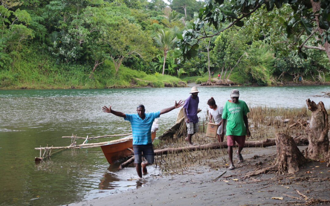 Malaria in Vanuatu
