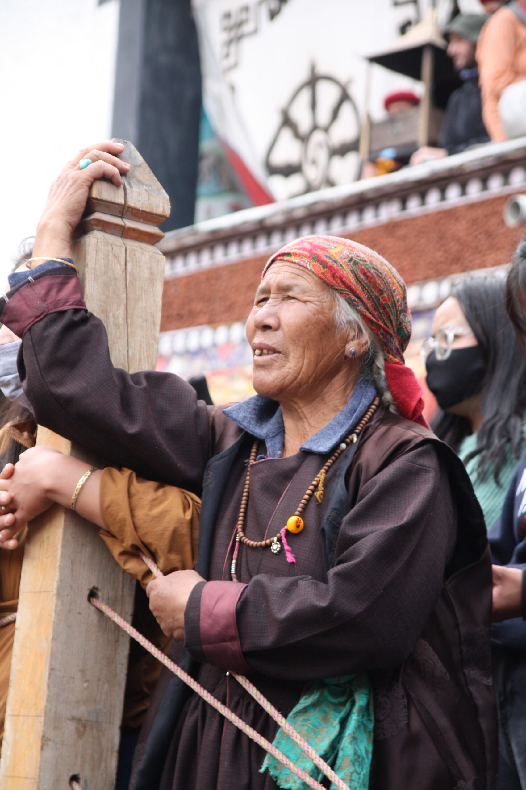 52248571977_366edded3a_o