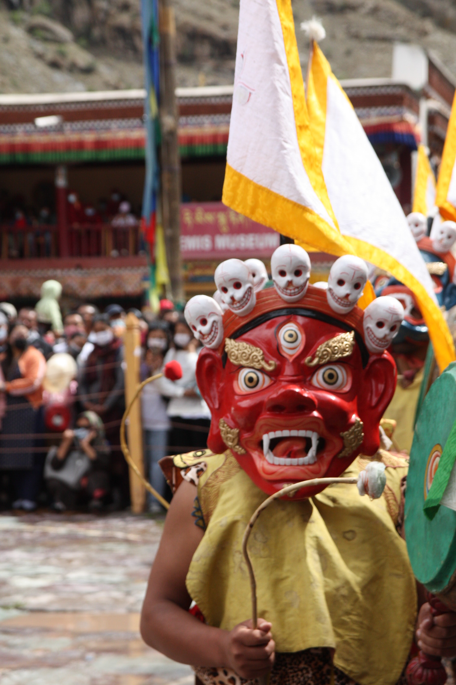 52248572137_cdc30b69cd_o