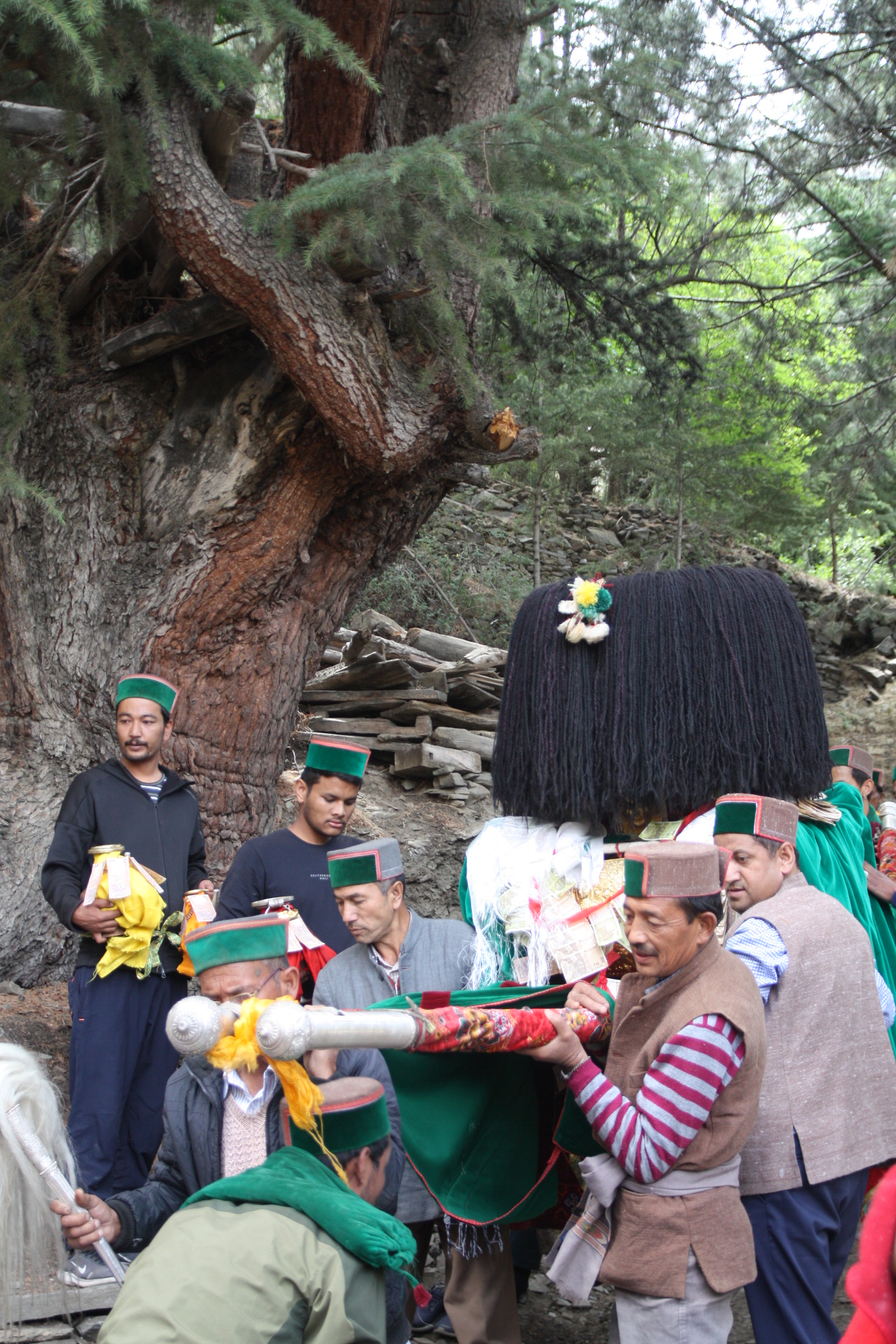 52249006497_2a344292f1_o