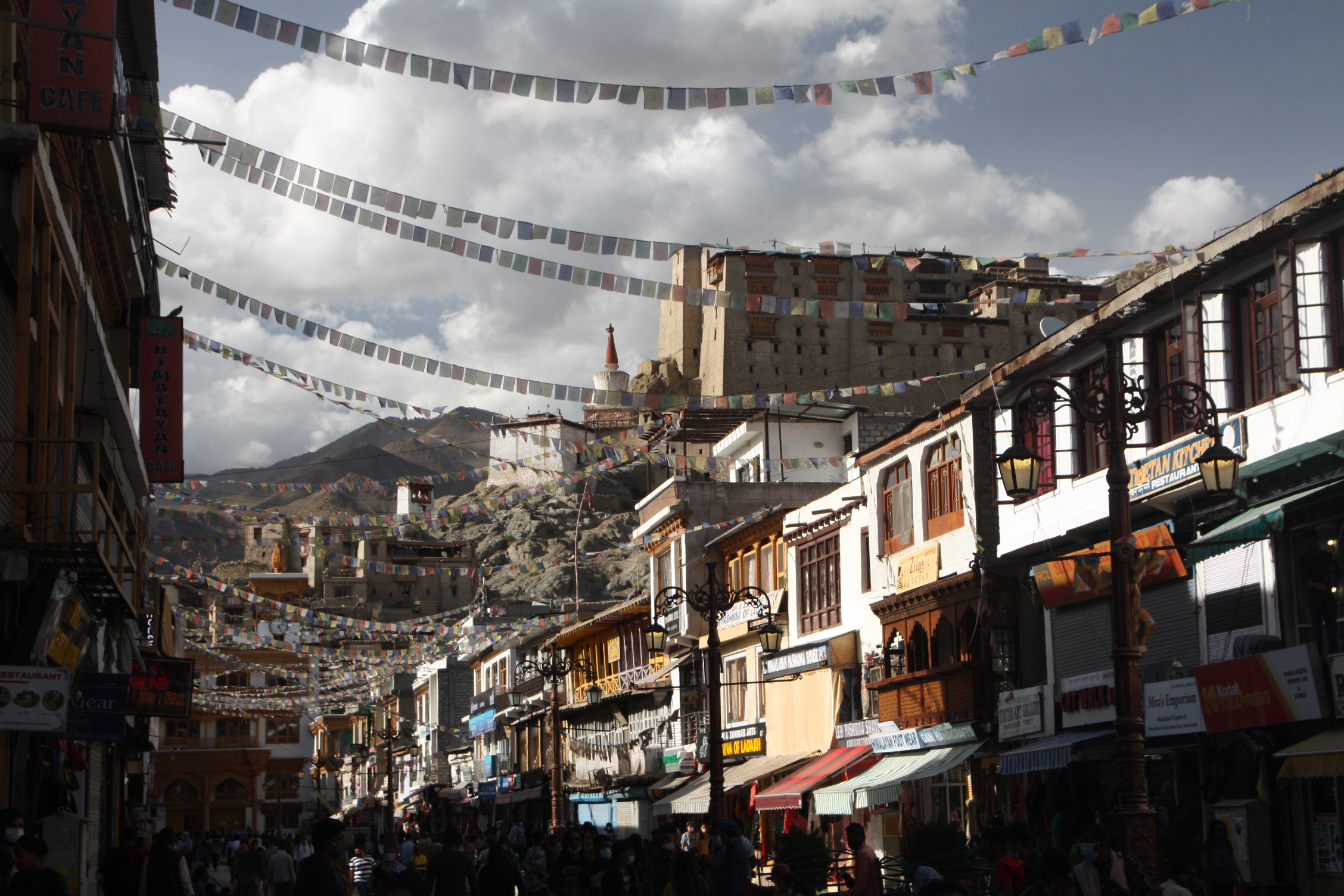 52249320381_28605c509a_o