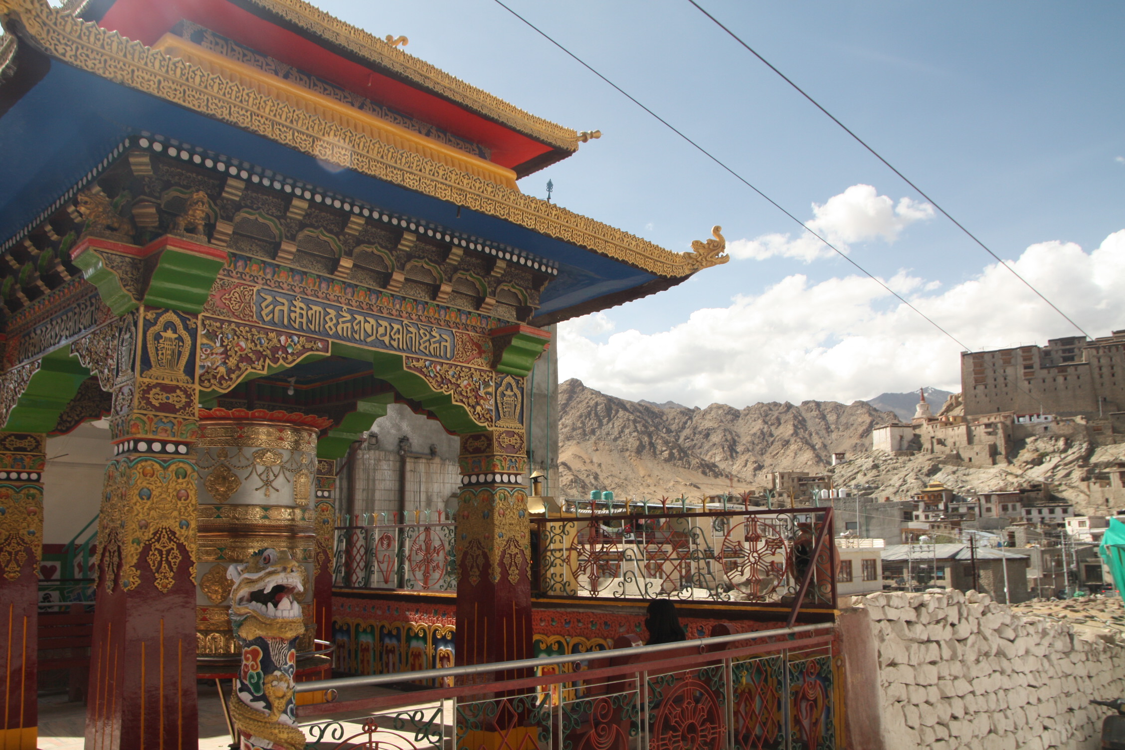 52249601484_b4f3f35081_o