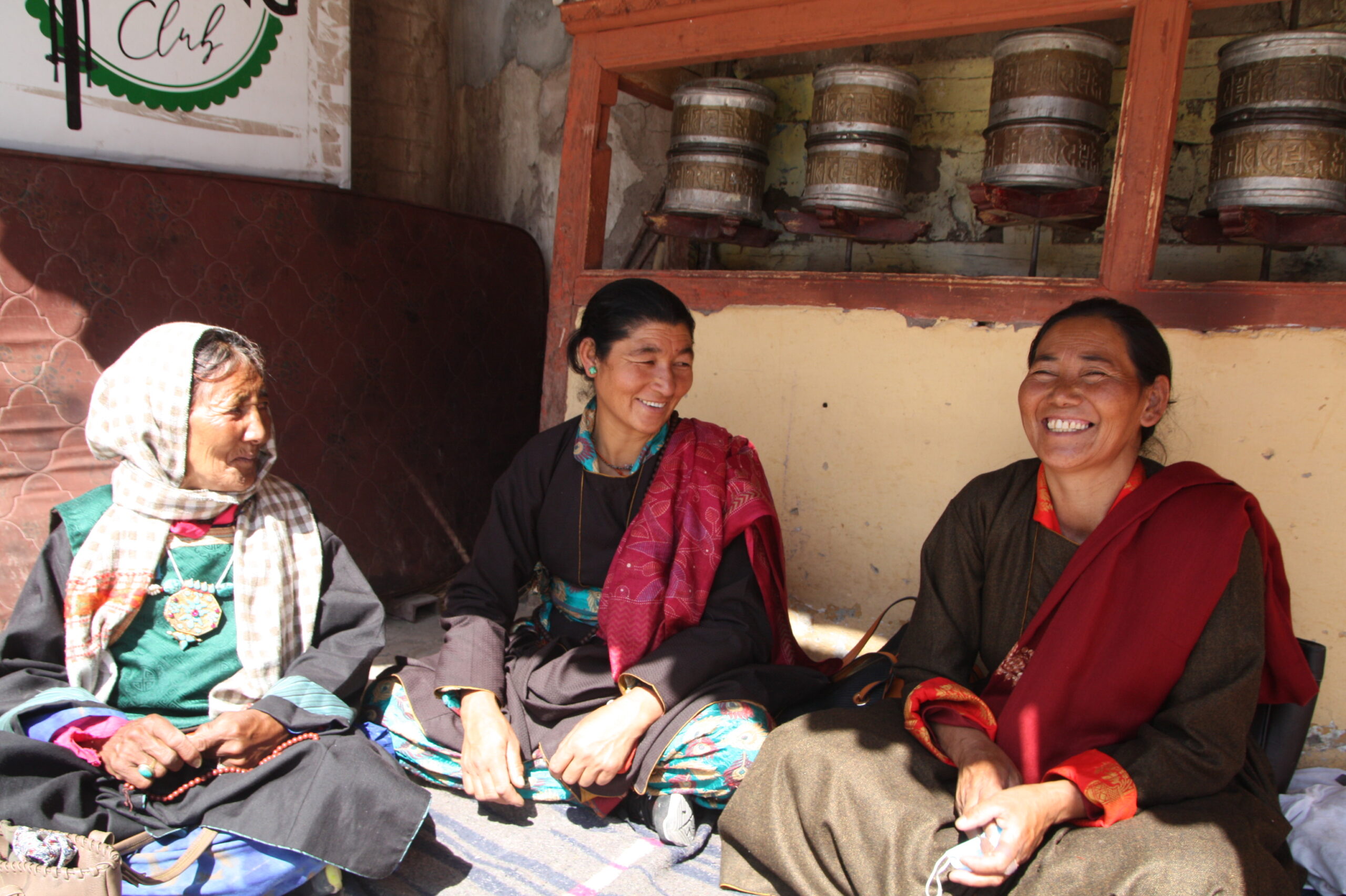 52250049525_a1d7cd168a_o