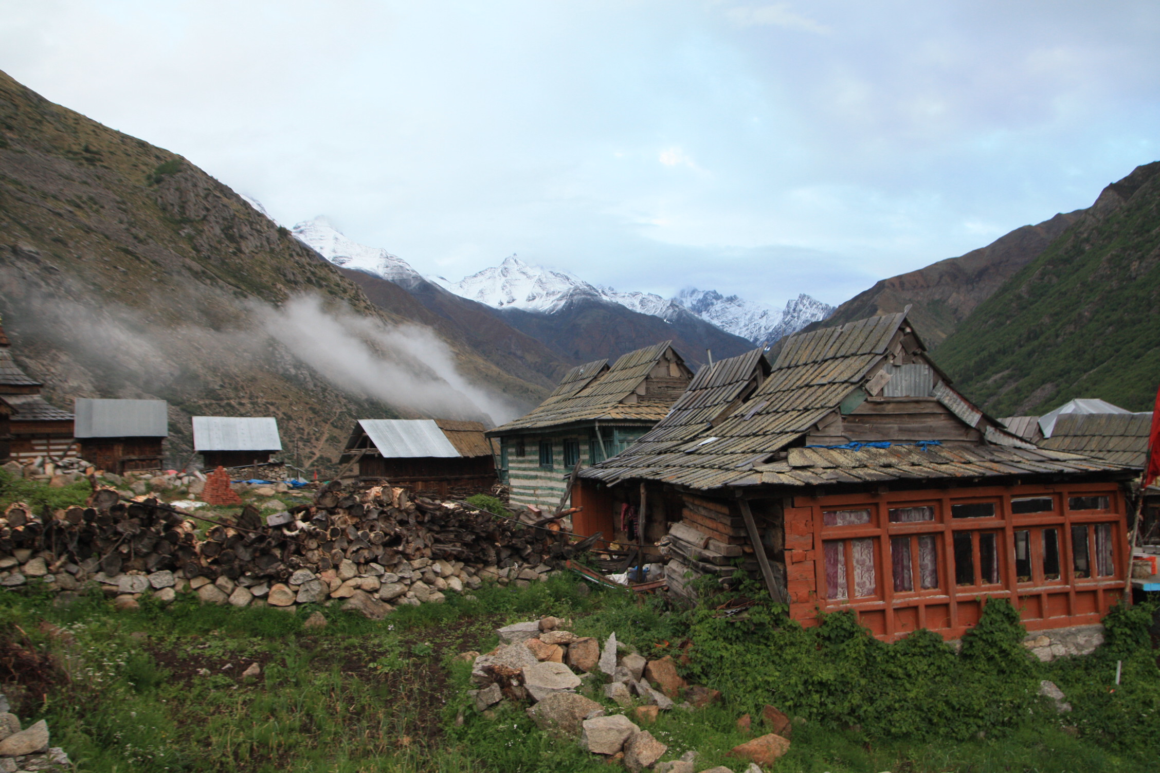 52250251739_c198a95917_o