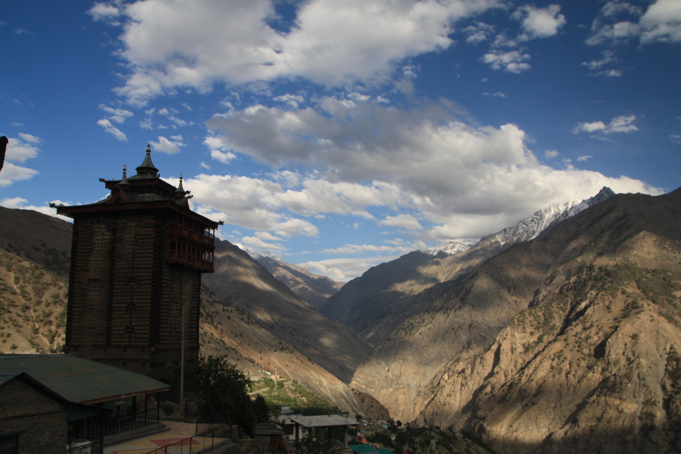 52250279494_fe9a24da57_o