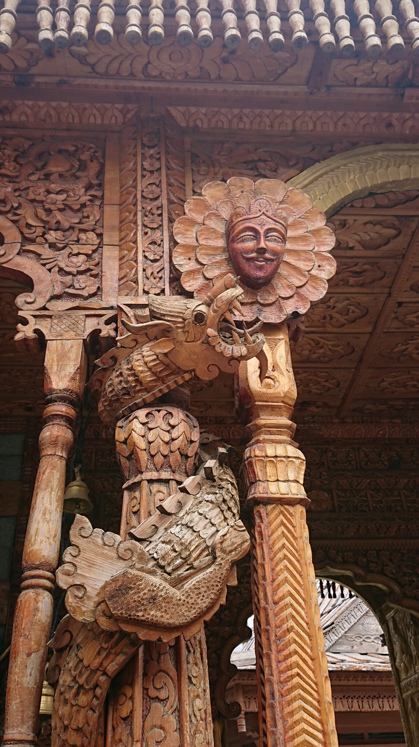 52382857098_4bdd6d9072_o