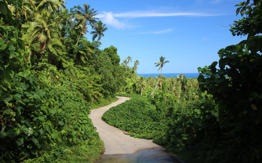 All you need to know about Dengue!