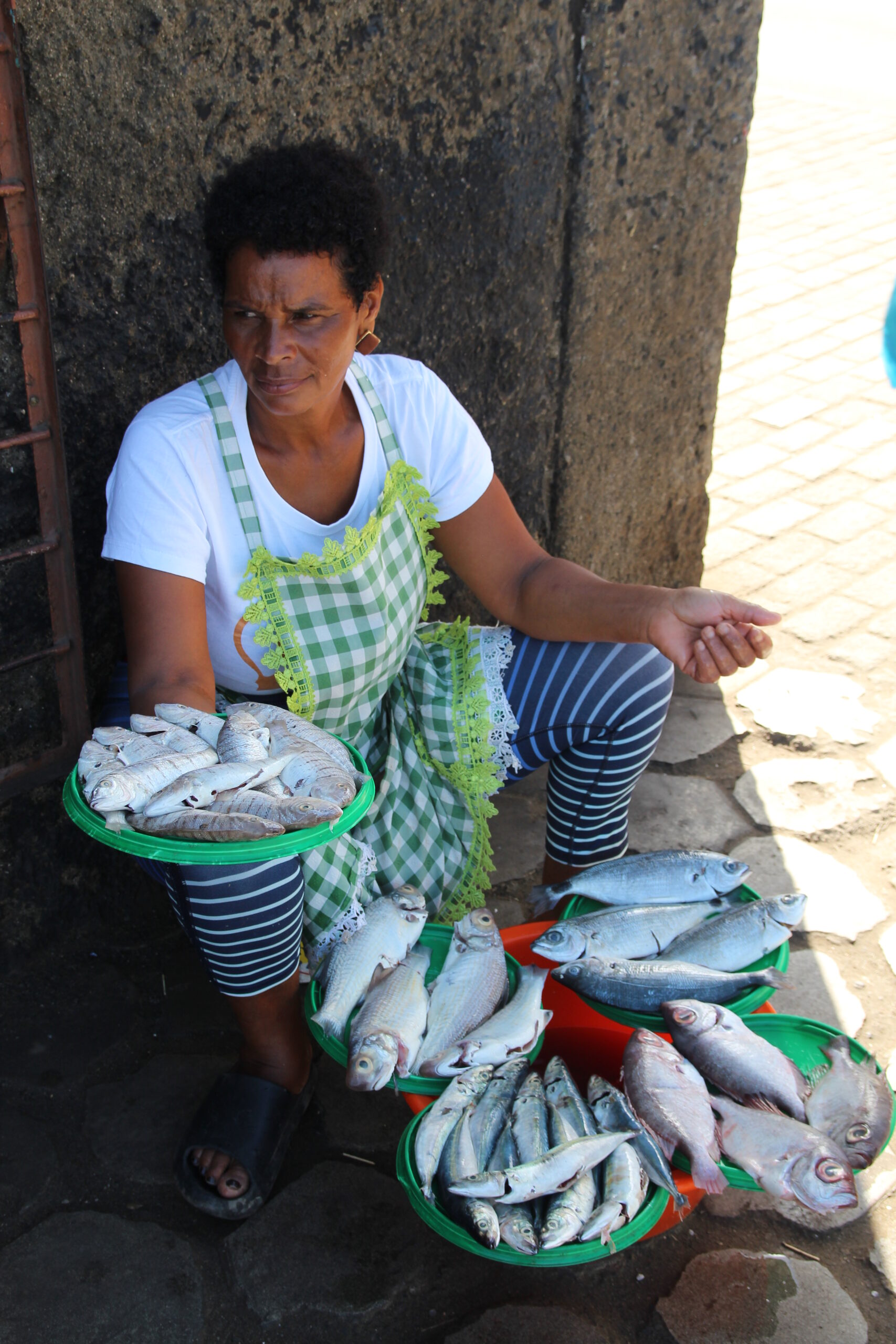 52589000972_8c94e77f46_o