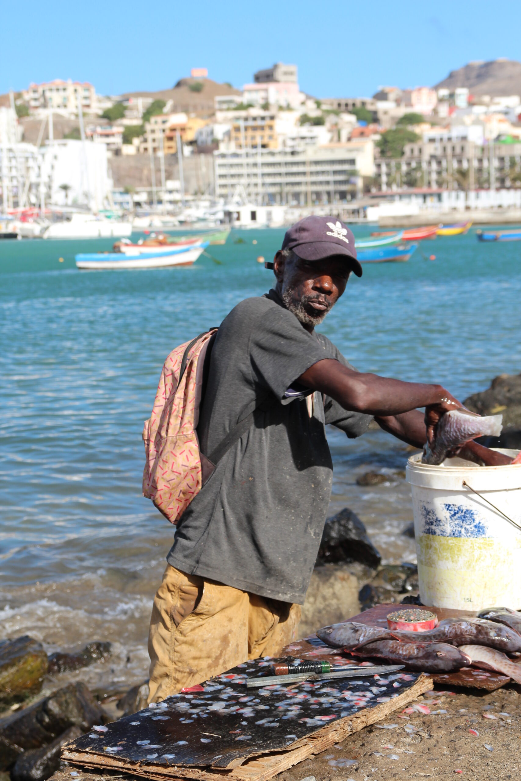 52589003372_395bbcba48_o