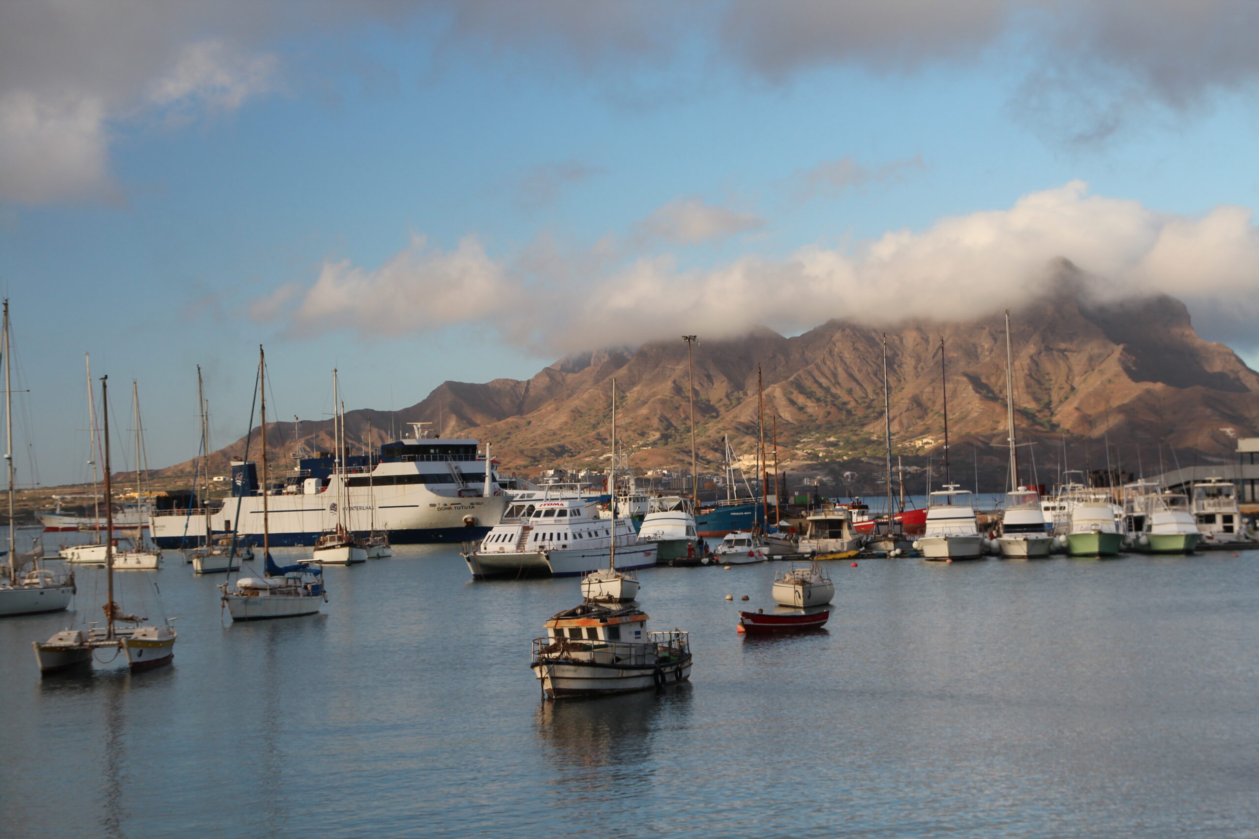 52589466286_fa6a7bc68b_o