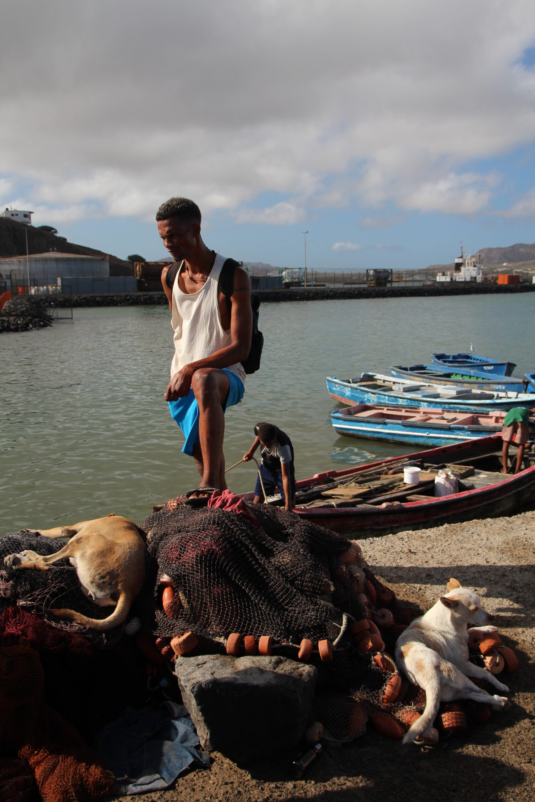 52589474441_6e52d17642_o