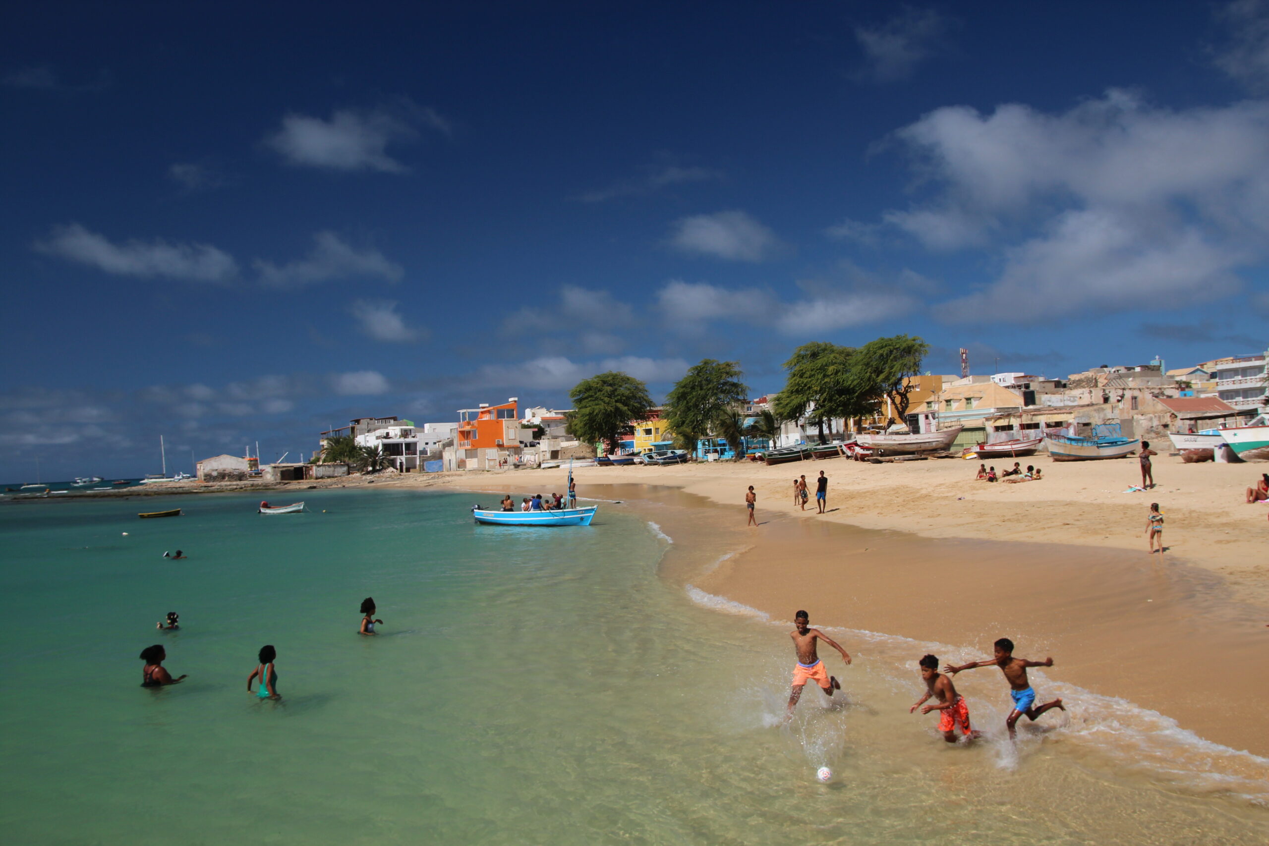 52589843955_207865bb02_o