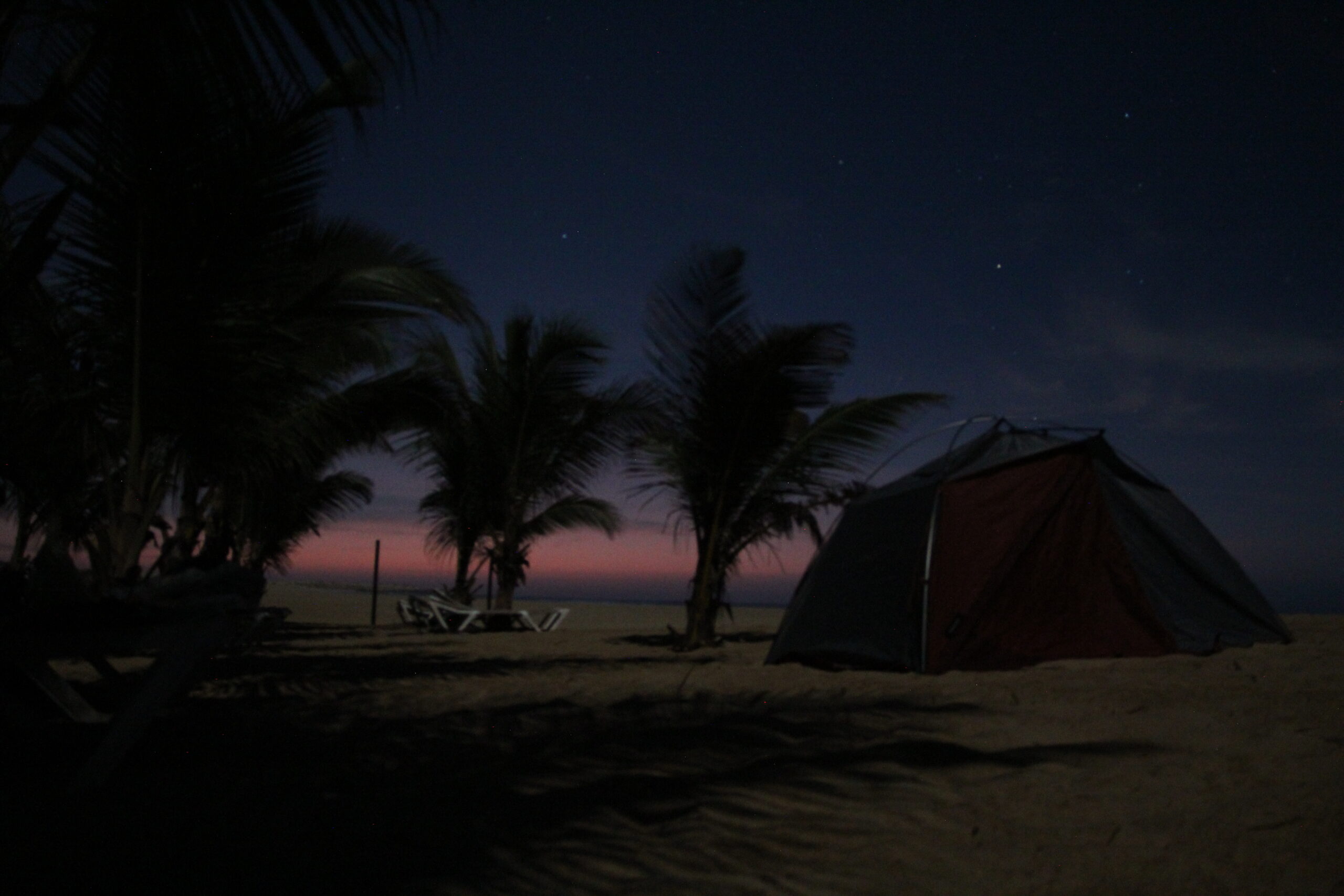 52589984553_9d2097cc72_o