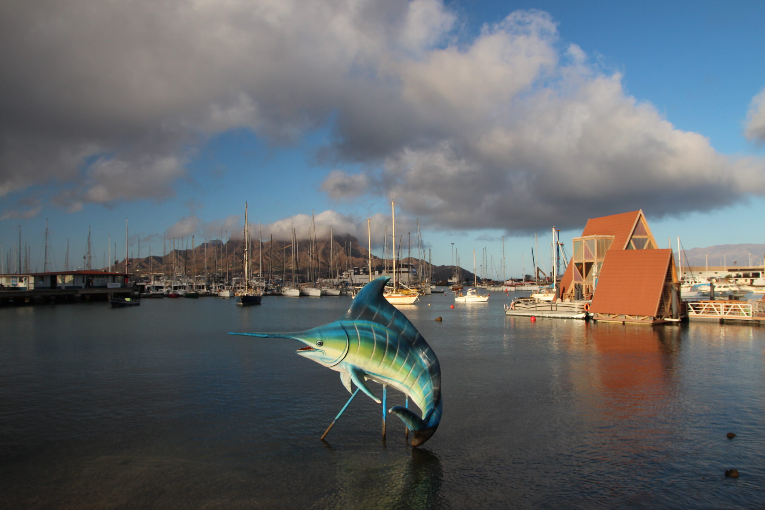 52589994248_b8f56a2f01_o