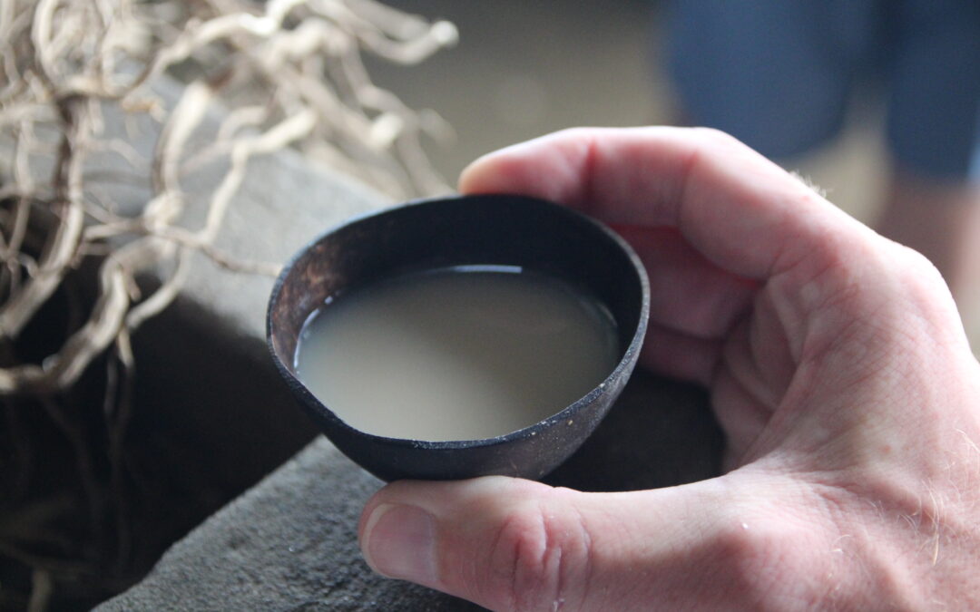 Kava
