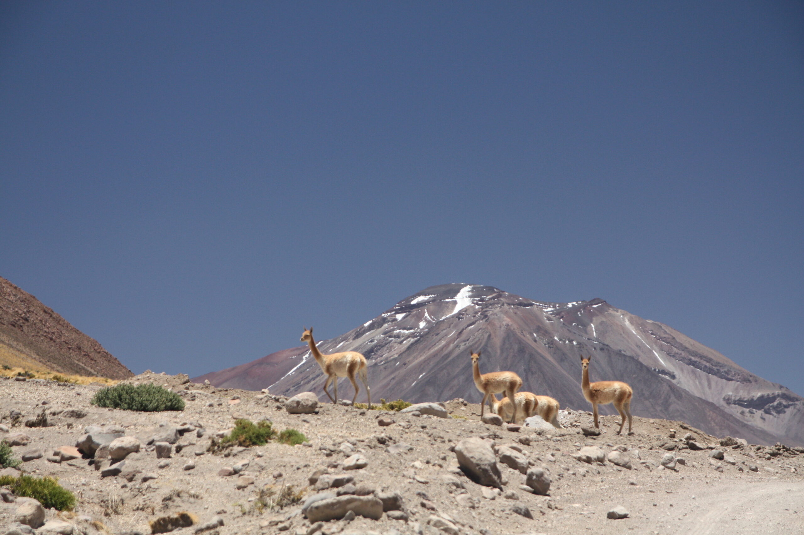 28431562203_9e6f280727_o