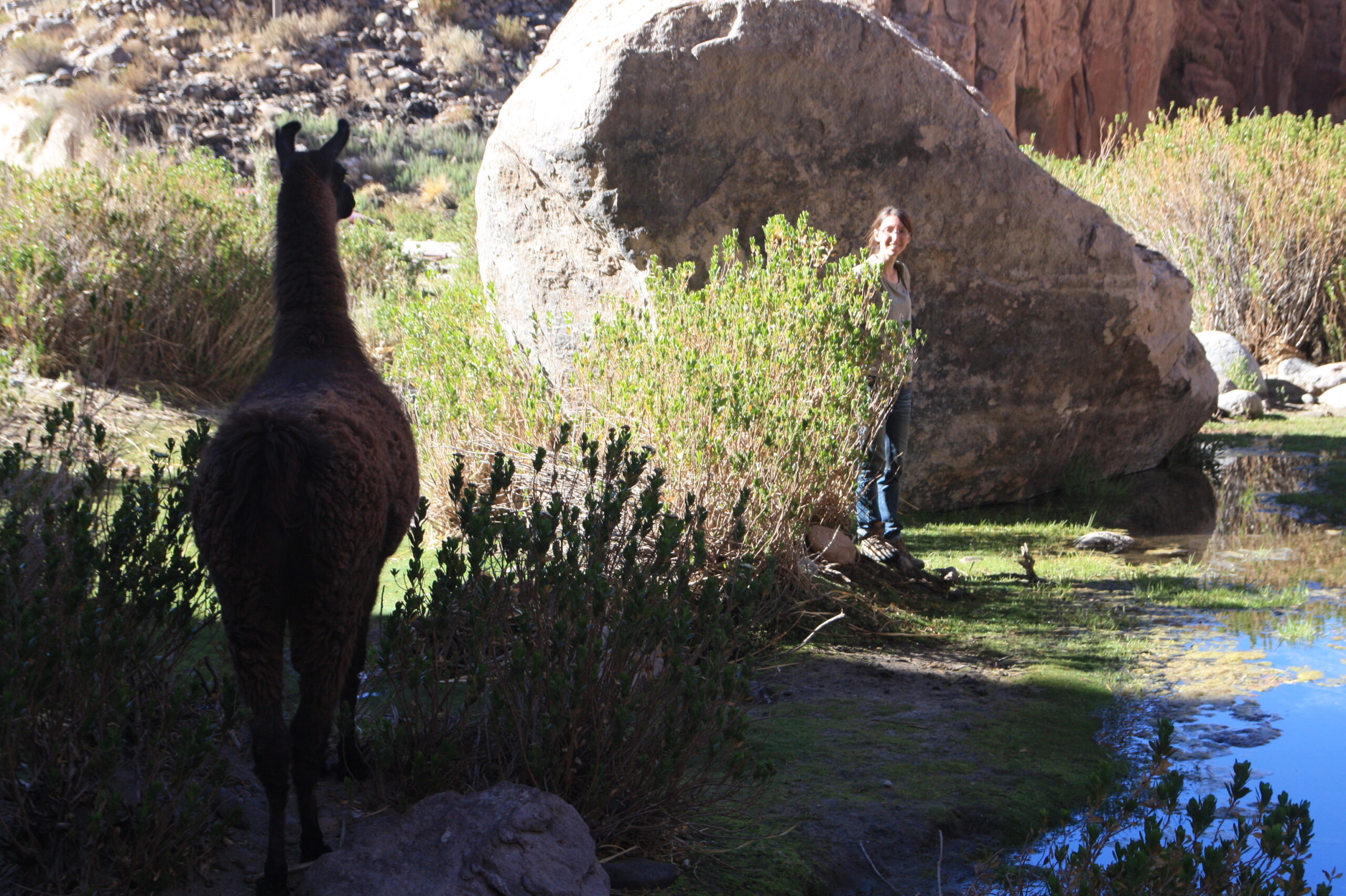 29016251966_b3d66b83b3_o