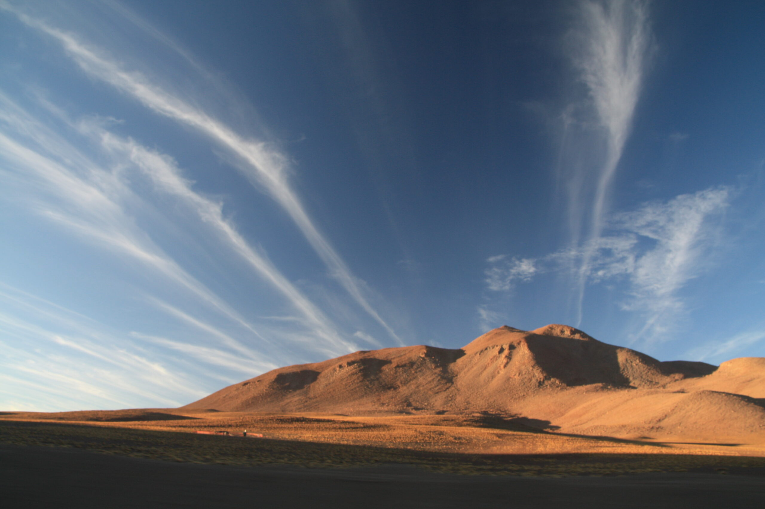 29016609866_32bb5d78c3_o