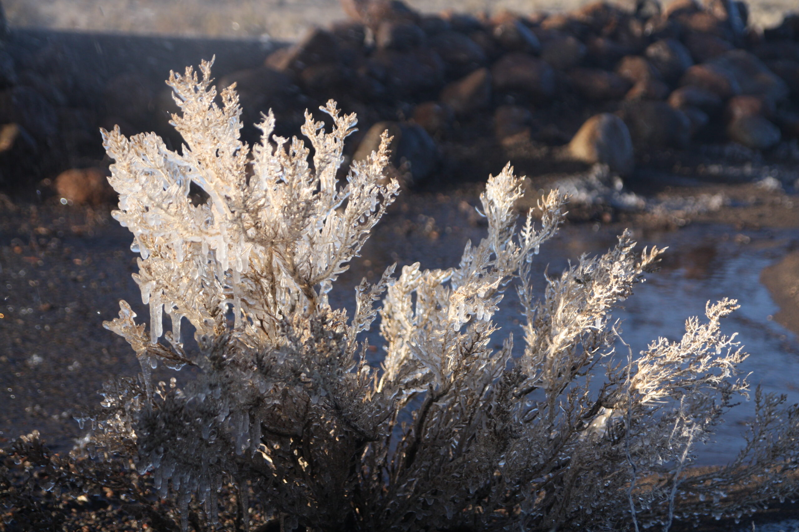 29049231795_ed958e8780_o