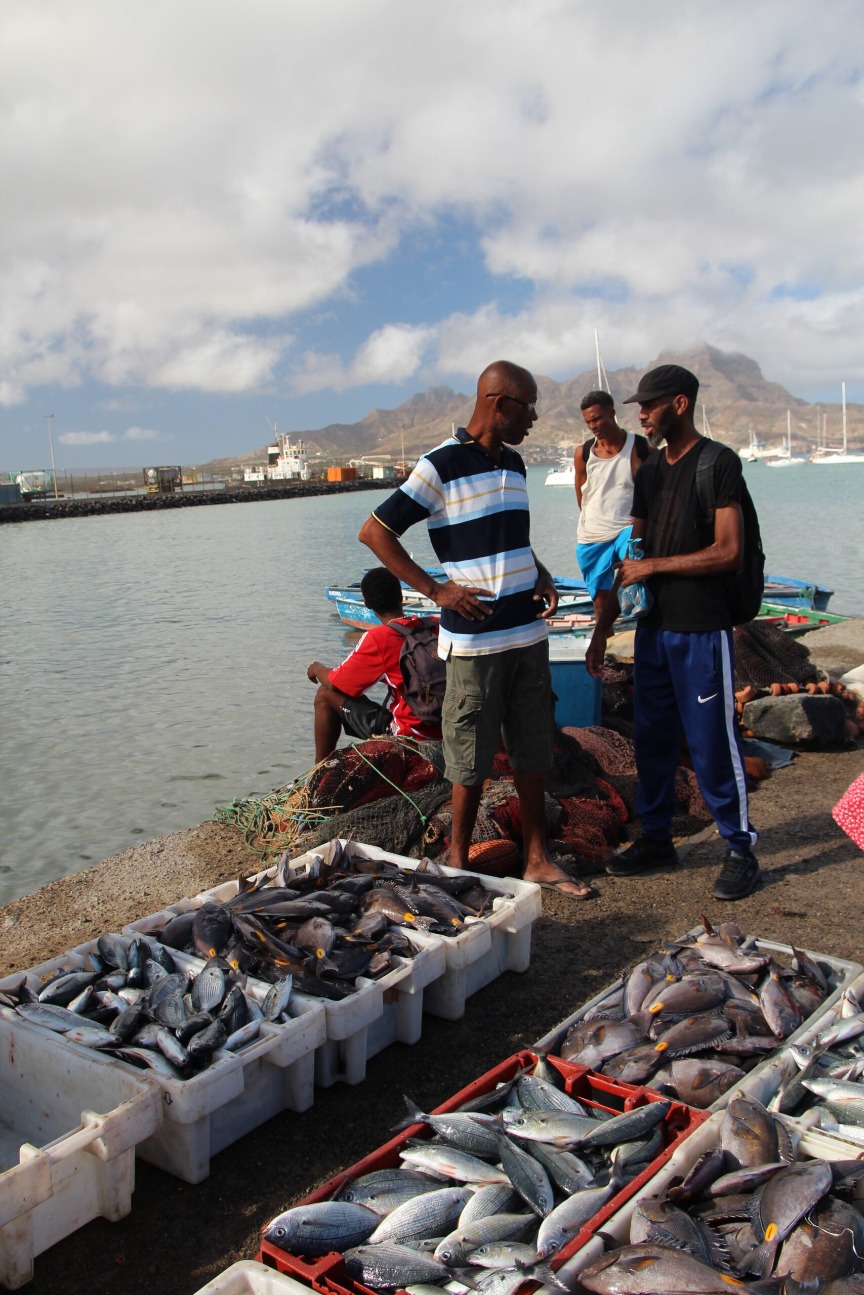 52588989532_7d77a5a5d7_o