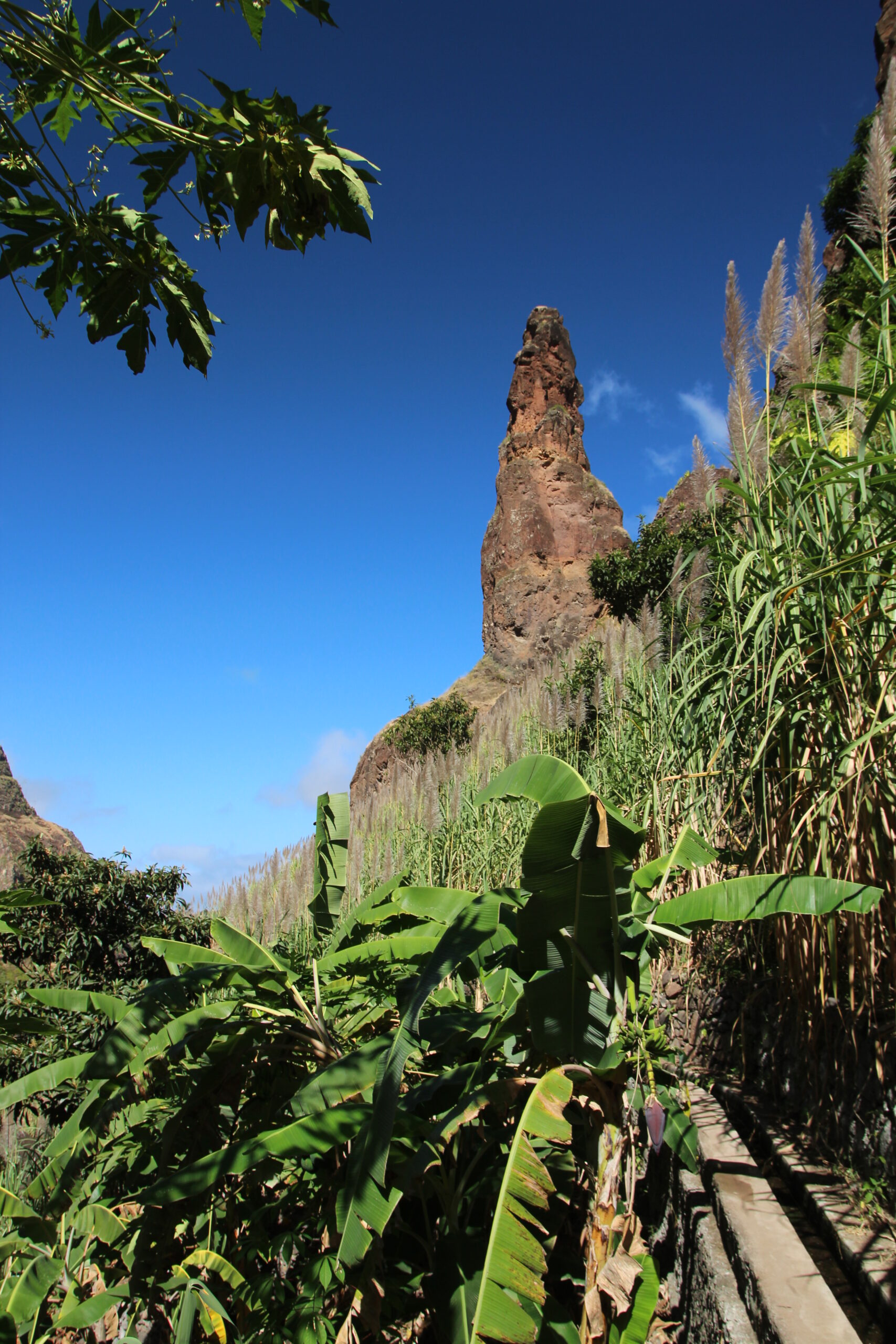 52589126612_78e173e302_o