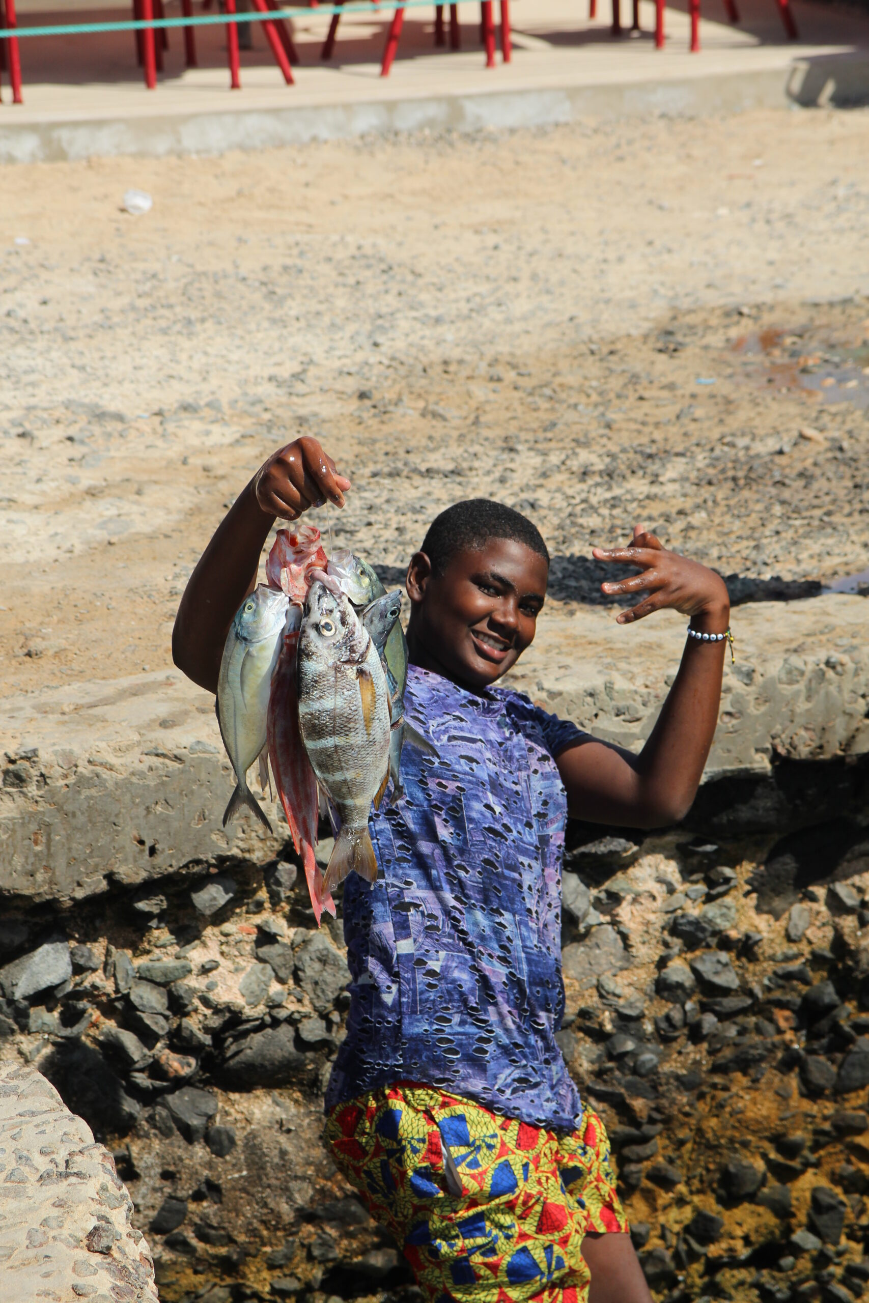 52589845440_5cf786ab99_o