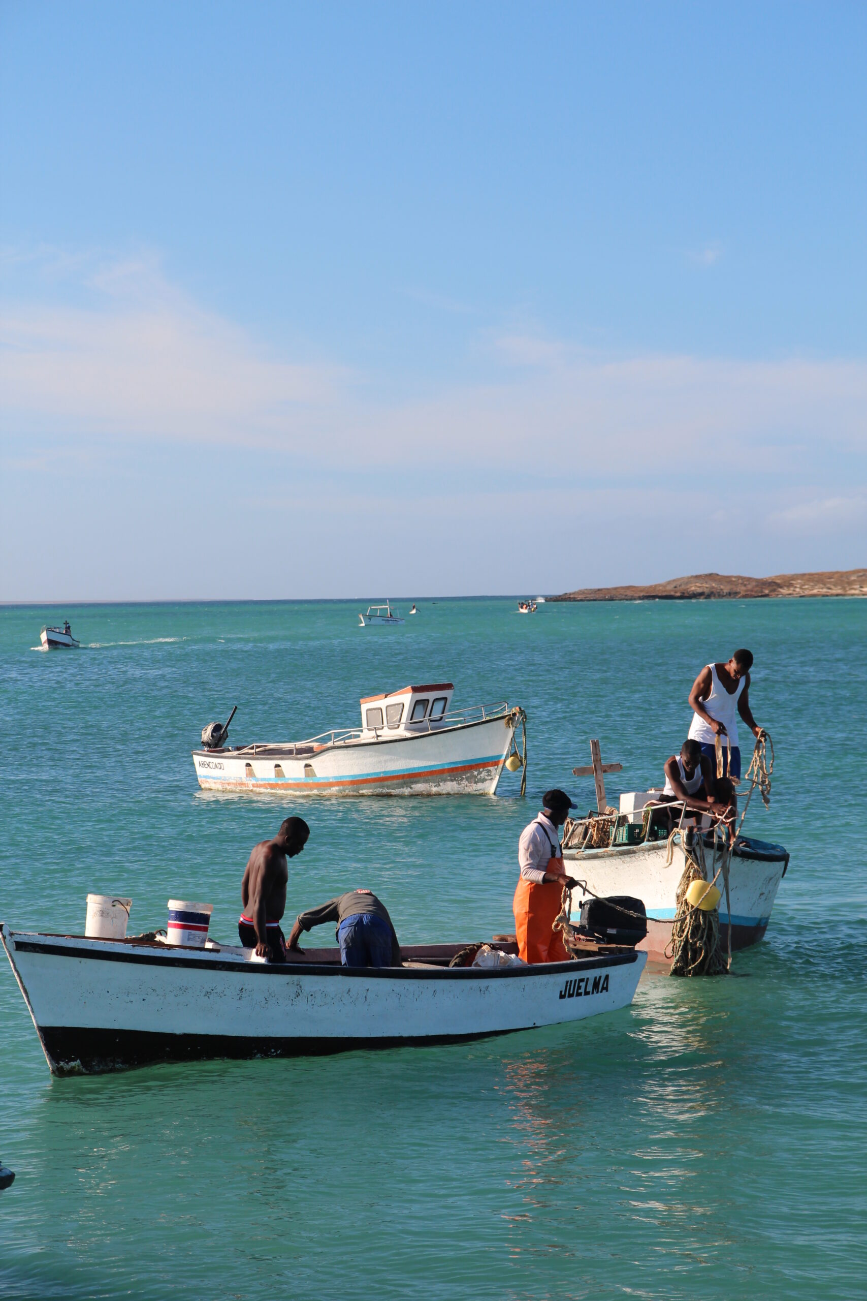 52589896635_3569e9fda1_o