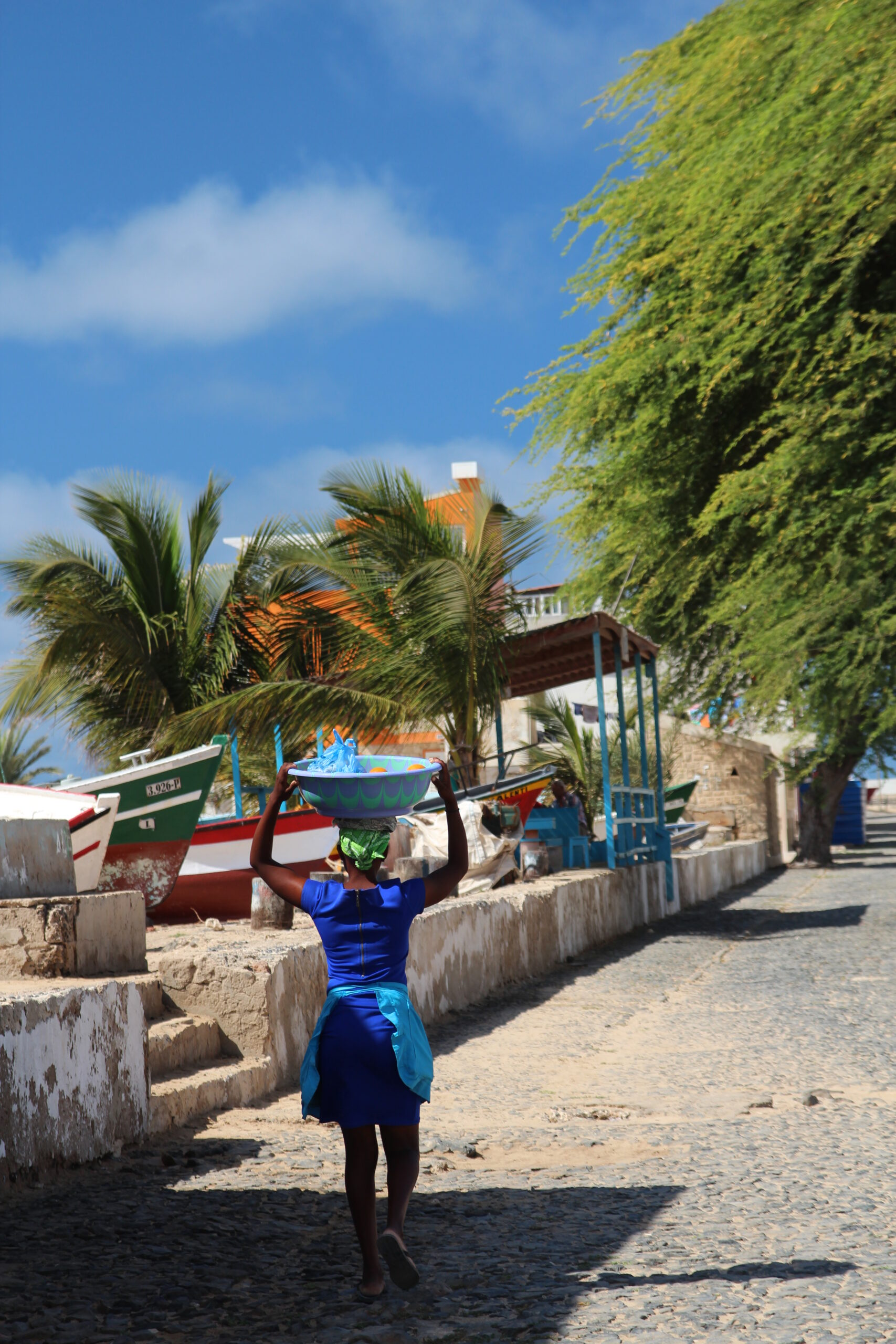 52589929418_7cc0a68095_o