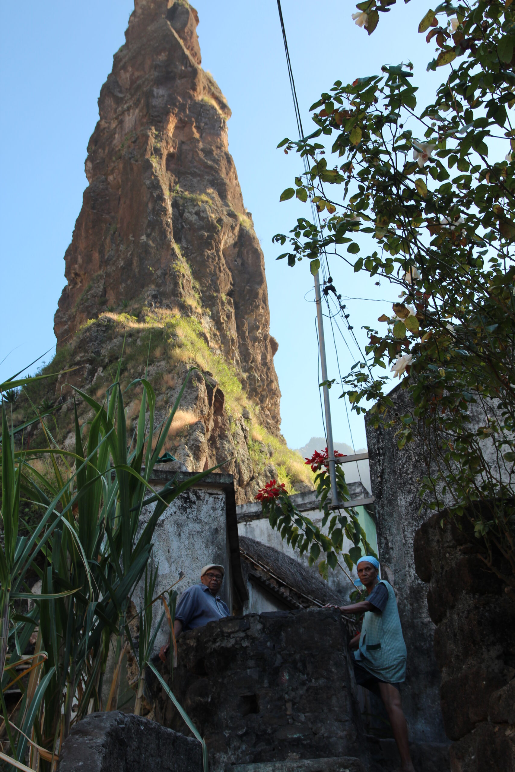 52590235838_875ce016c4_o