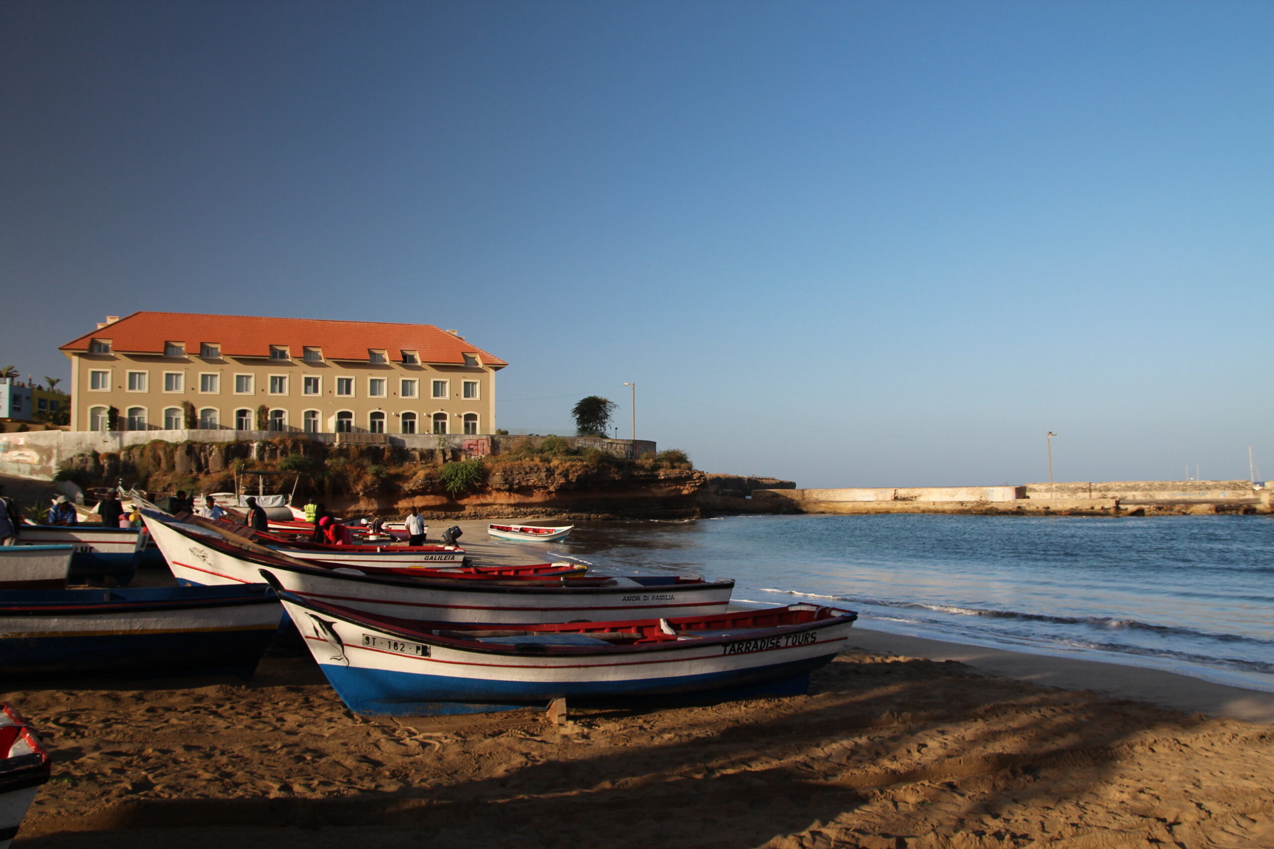 52590261000_4499a899d6_o